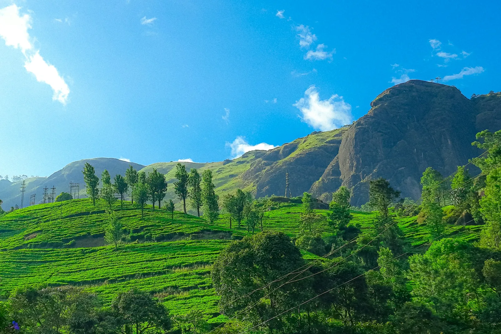 Kerala honeymoon
