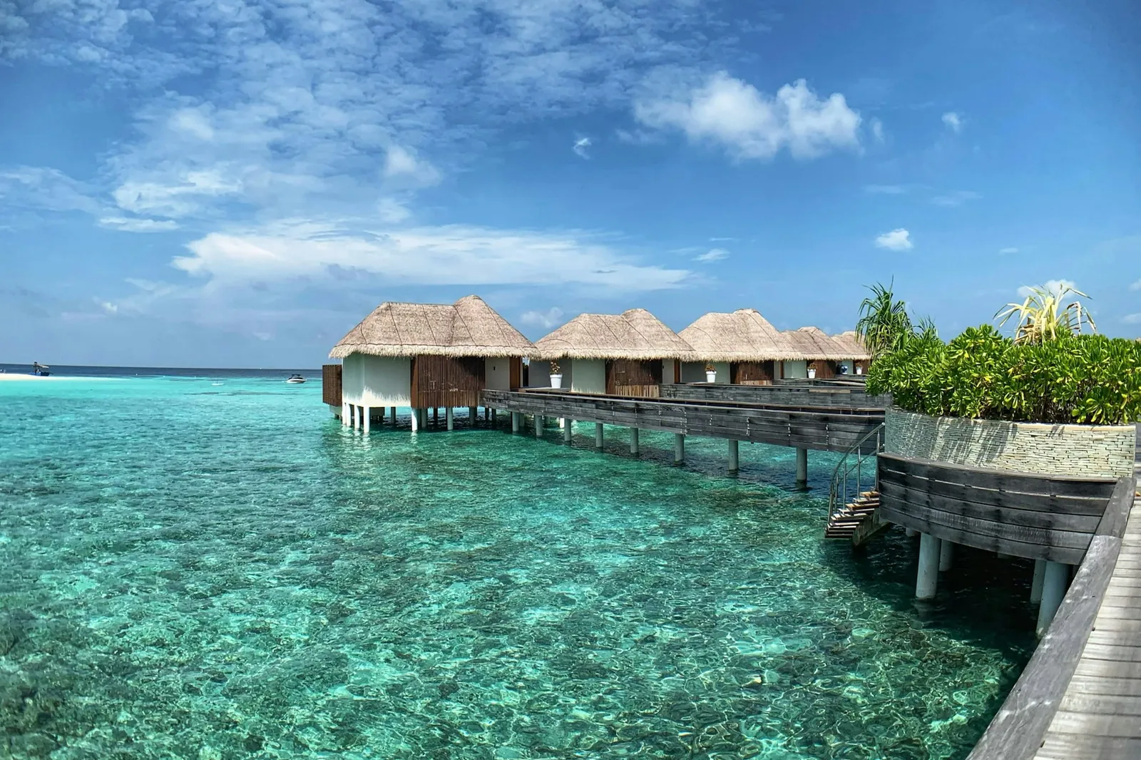 Maldives honeymoon