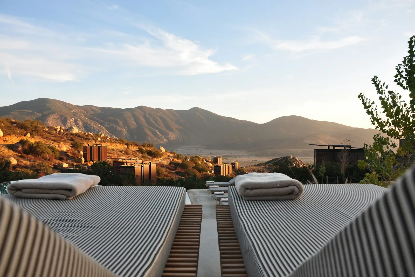 Executive wellness retreats