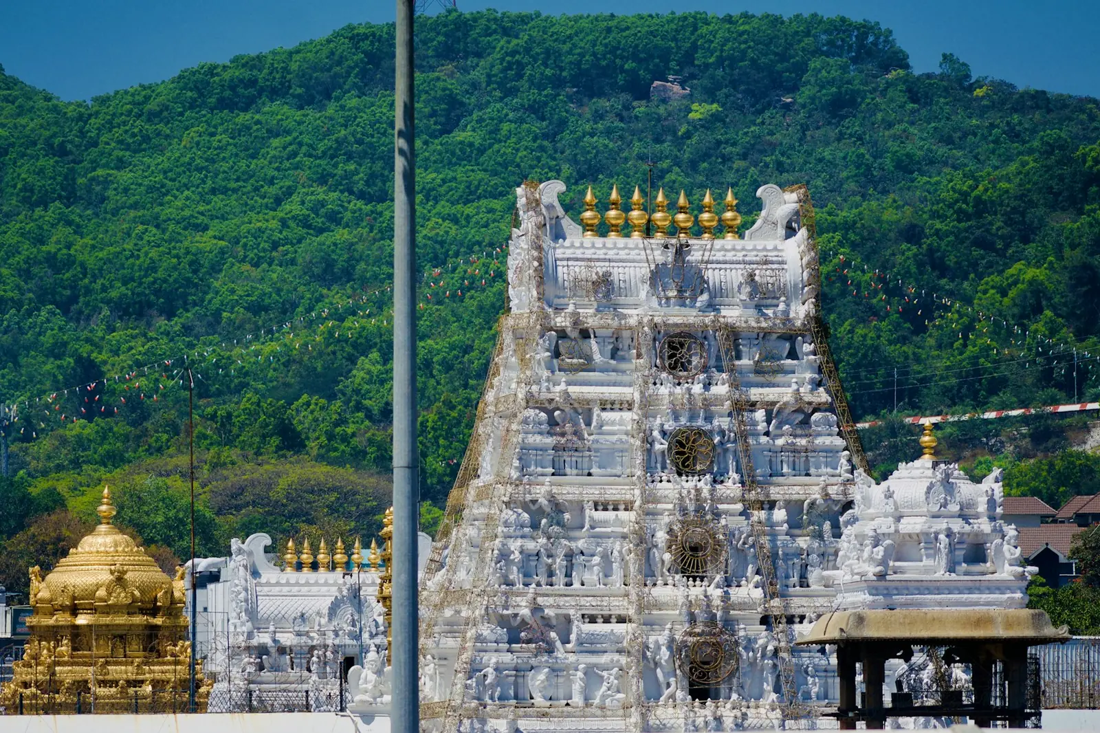 Sri Venkateswara (Tirupati Balaji)