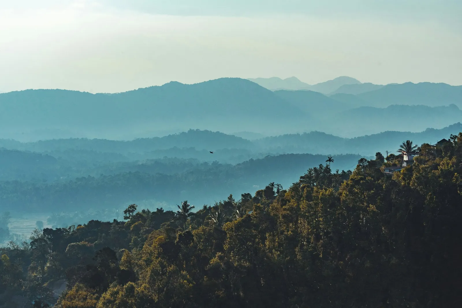 Coorg or Chikmagalur from Bangalore