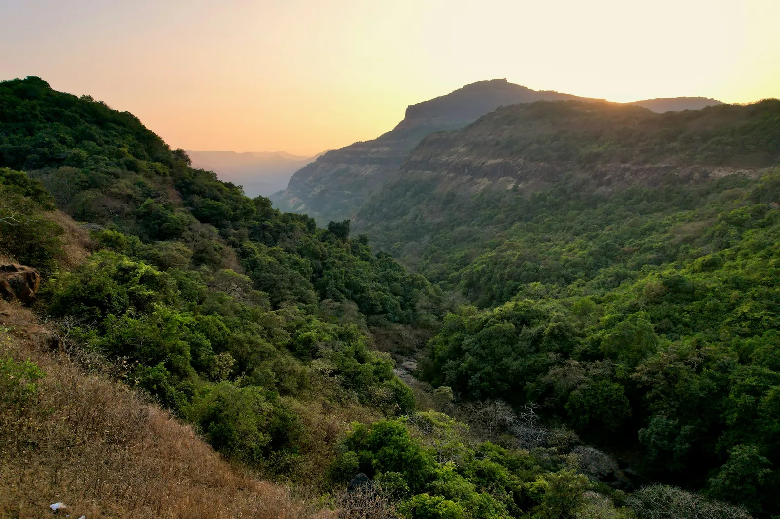 Lonavala, Alibaug or Mahabaleshwar from Mumbai and Pune